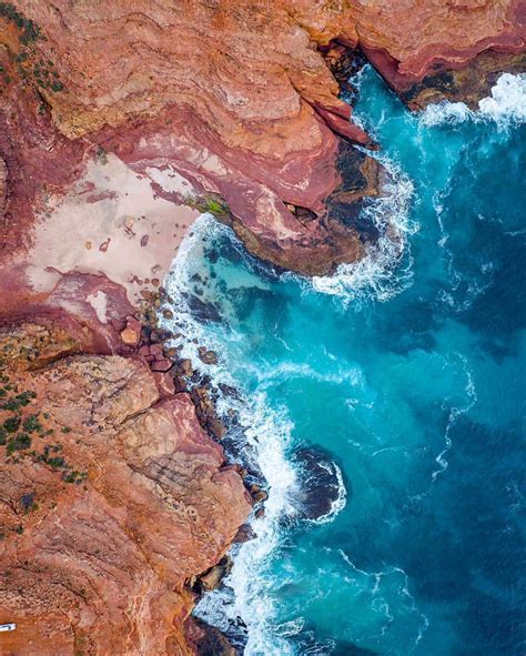 Image result for Complementary Colors Photography