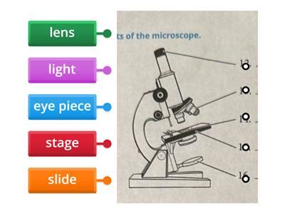 Science Microscope Labelled 的图像结果