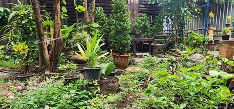 COZY NEST CNX (Chiang Mai) - Hostel Reviews, Photos, Rate Comparison ...