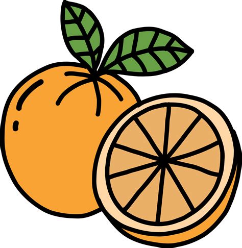 doodle freehand sketch drawing of orange fruit. 11192290 PNG