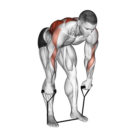 Wide Grip Cable Rows: Benefits, Muscles Worked, and More - Inspire US