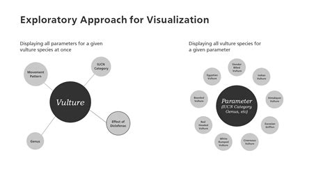 Interactive Visualization 的图像结果