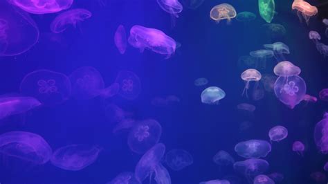 Image result for Salesforce Health Check