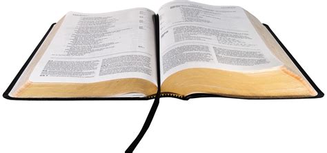 Open Holy Bible Clip Art