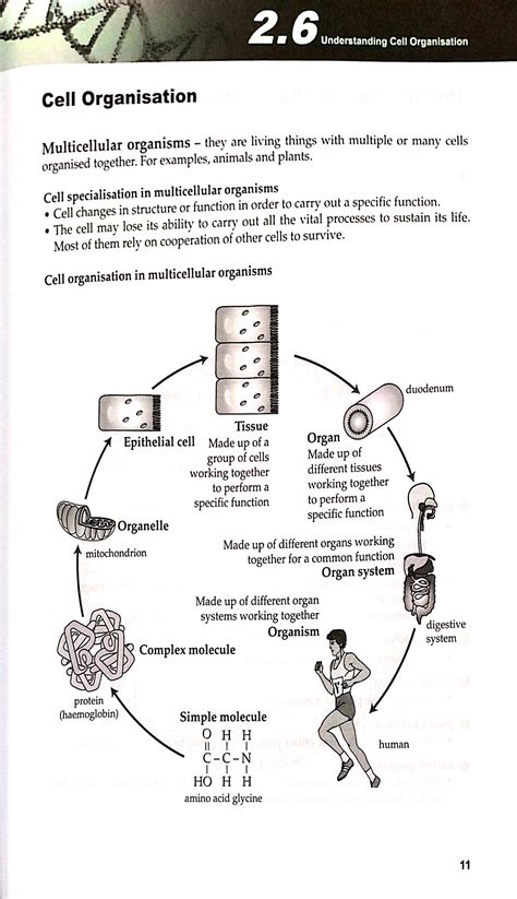 Biology Learning 的图像结果