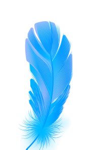 Feather PNG Image (22) - Photo #789 - BiNps PNG Website