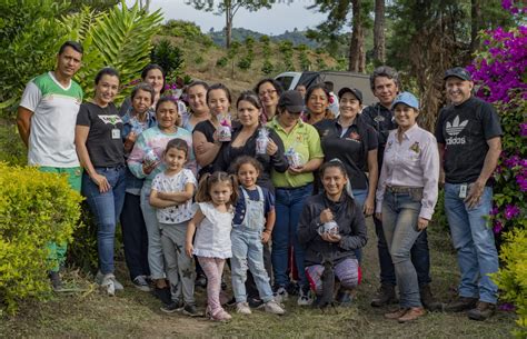 Mujeres rurales producen el mejor pollo de Paicol - TSM Noticias