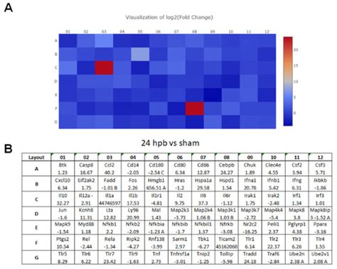 JPM | June 2022 - Browse Articles