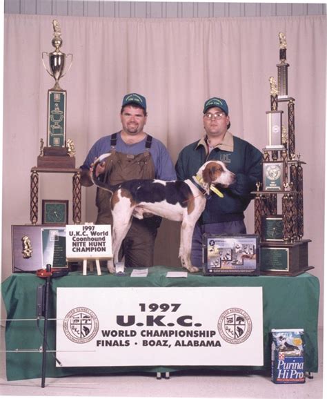 Coonhound World Championship Historical Winners List | United Kennel ...