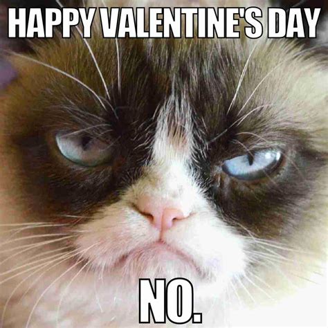 Funny Valentine's Day Memes