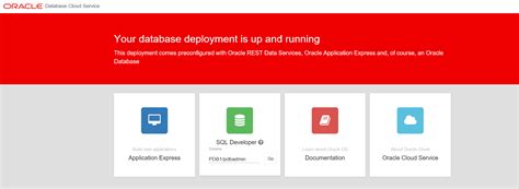 Image result for Oracle SQL Developer Online