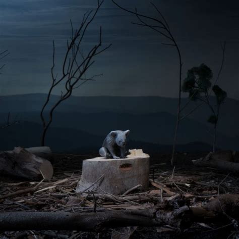 Environment Animation 的图像结果