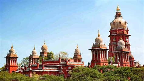 Thoothukudi Collector told to file report on Adichanallur on-site ...