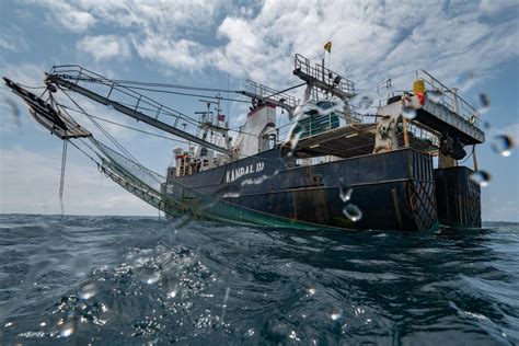 Sea Shepherd Arrests Super Trawler off Liberian Coast with M/Y Age of Union Vessel | Age of Union