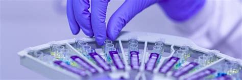 Index - Green Bootstrap Template