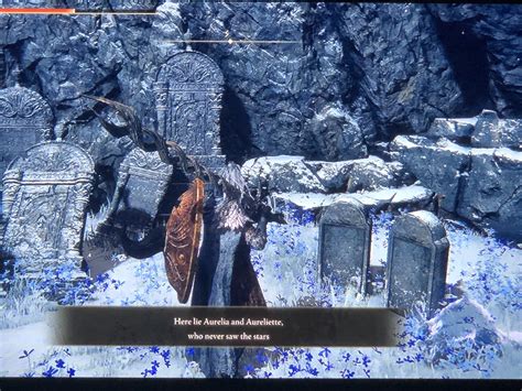 800+ hours across three characters and 5 NG cycles, and I just ...