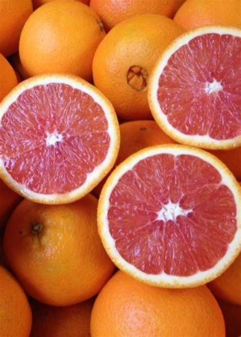 Cara Cara Navel Oranges