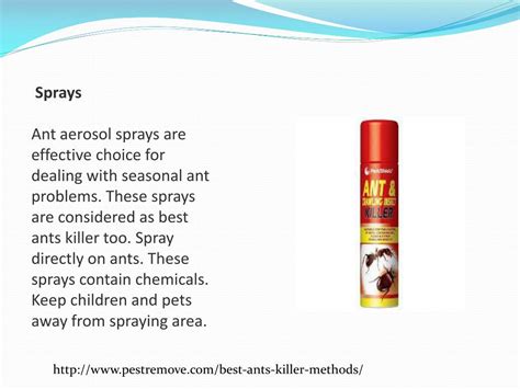 PPT - BEST ANTS KILLER METHODS PowerPoint Presentation, free download ...