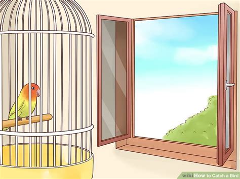 Image result for Primitive Catching Bird