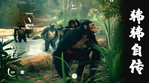 狒狒模拟器：第一次当老大，带领一群狒狒，走向小康！_高清1080P在线观看平台_腾讯视频