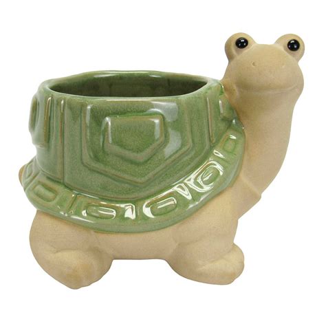 Indoor Turtle Ceramic Planter, 5"