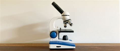 Image result for How to Use AmScope Microscope