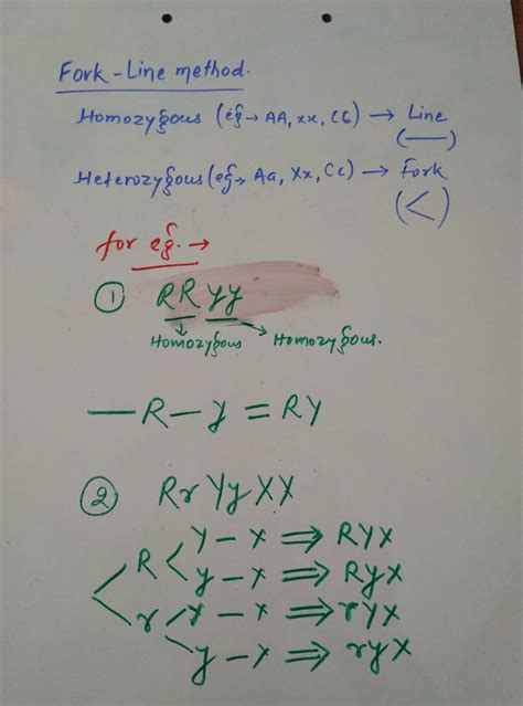 If a round green seeded plant (RRyy) is crossed with wrinkled yellow ...