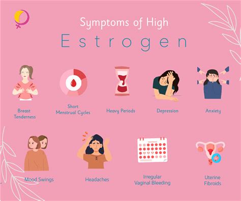 High Estrogen Symptoms: Signs, Causes, and Natural Ways to Balance Hormones – NORMENS