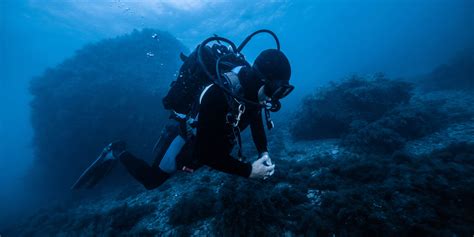 Лучшие места для дайвинга в России: Черное море, Японское море, Белое ...