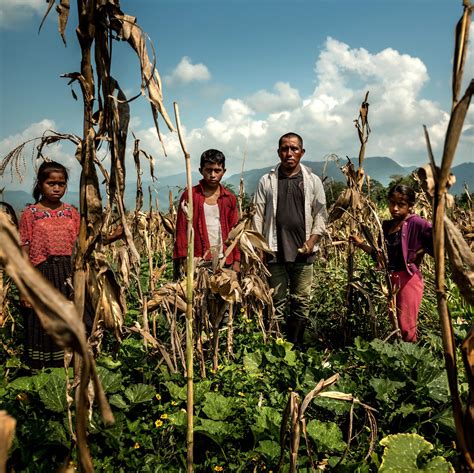 Migration Of Rural People To Urban Areas - migration of rural people to urban areas
