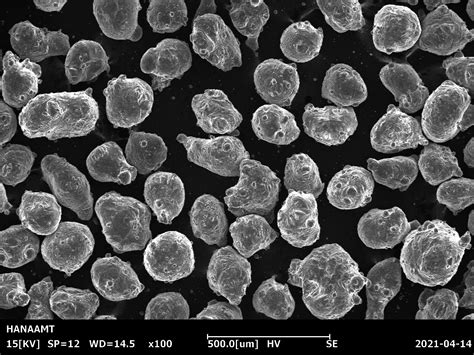 Mg Powder 的图像结果