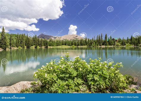 Dark Canyon lake in Utah stock photo. Image of landscape - 60990784