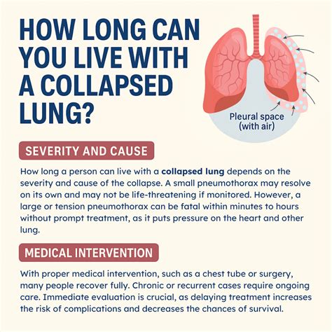 How Long Can You Live With a Collapsed Lung? (2026)
