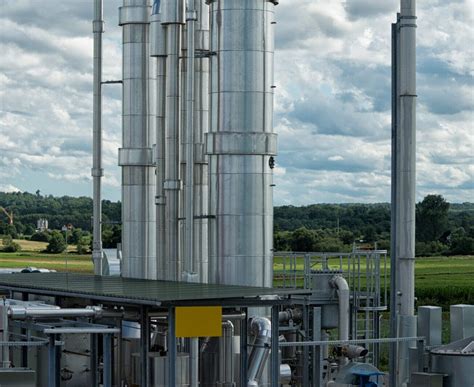 The Energy & Biosciences Institute