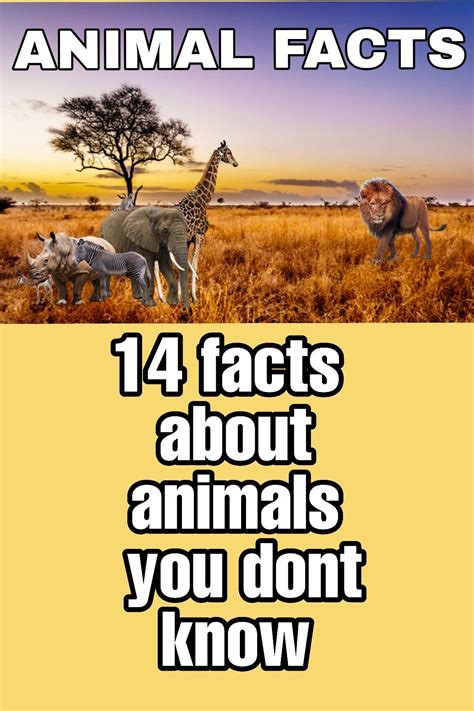 35 interesting and weird animal facts not too many people know – Artofit