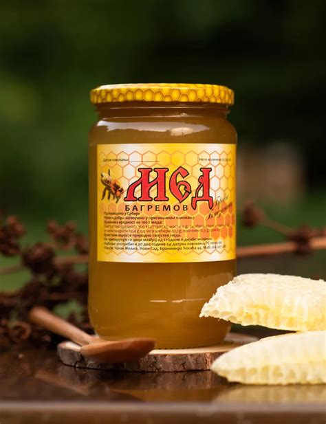 Bagremov med 1kg - Prirodni Med Braće Blizanaca