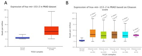 Secreted miR-153 Controls Proliferation and Invasion of Higher Gleason ...