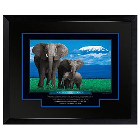 Successories Essence of Family Motivational Poster with Satin black ...