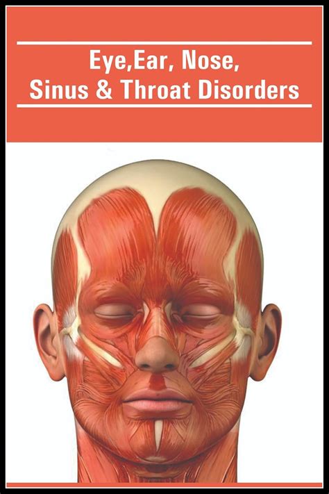 Allen Turtle ENT Posters,Diseases of Ear, Nose and Throat Middle Ear ...