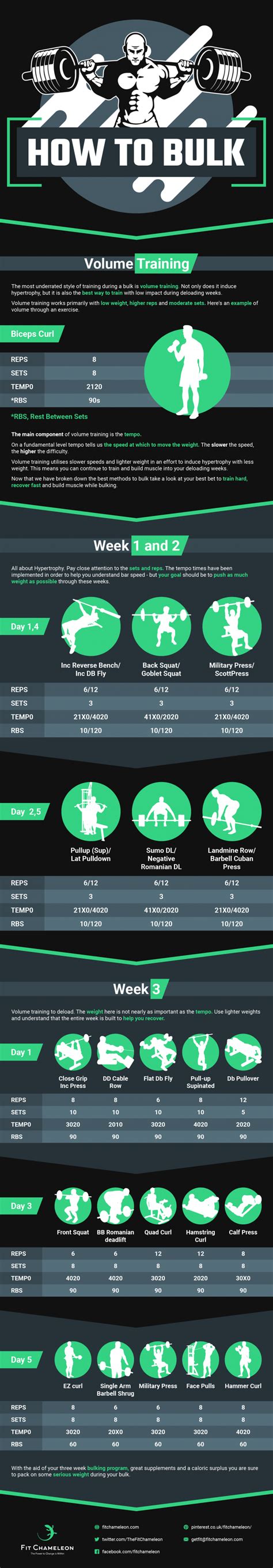 How to Bulk Workout Plan [Infographic] | Fit Chameleon
