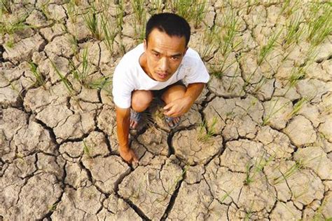 海南：台风和冷空气致晚稻、橡胶、槟榔等农作物受灾严重-高清图集-中国天气网海南站