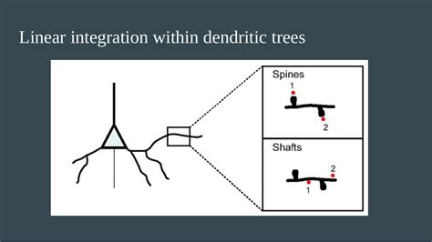 Introduction to Neural Networks 的图像结果