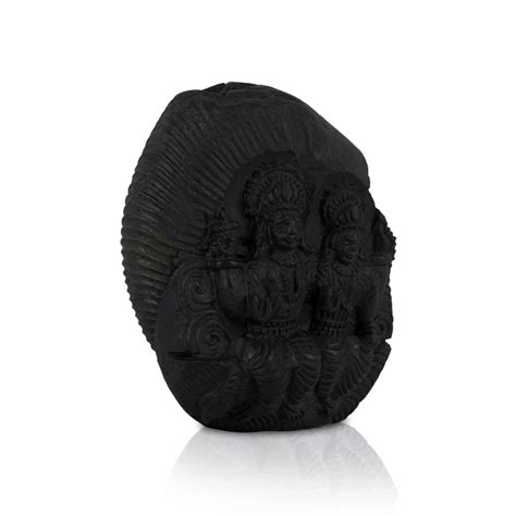 Giri - Vishnu Lakshmi Stone Deity | Best Shaligram for Home