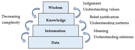 From Knowledge to Wisdom: Looking beyond the Knowledge Hierarchy