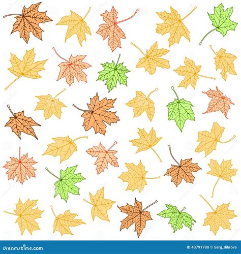 Color Maple Leaves Collection Stock Illustration - Illustration of ...