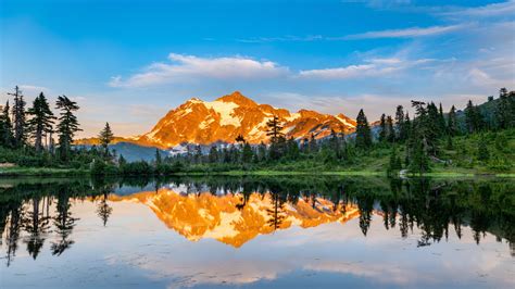 Washington - Population | TheTravel