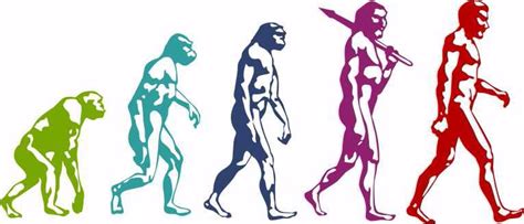 Australopithecus Habilis 的图像结果