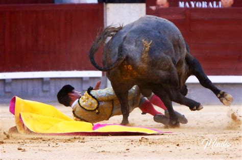 Durísima corrida de José Escolar en la que Gómez del Pilar se lleva un ...