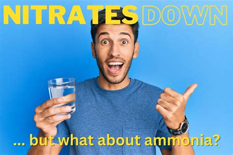 How RO Systems Remove Nitrates and Ammonium (not ammonia) - Water ...