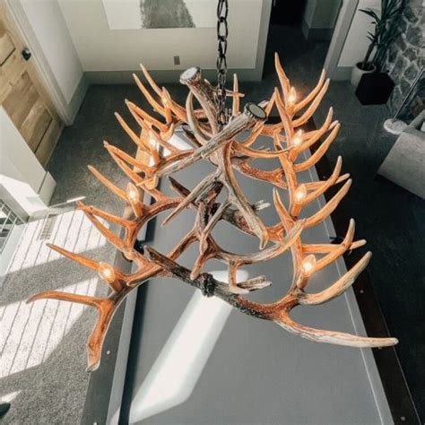 Forest Whitetail 12 Large Antler Table Chandelier | Antler chandelier ...